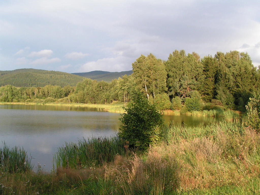 Penzion Mansky Dvur Dolni Zandov Bagian luar foto