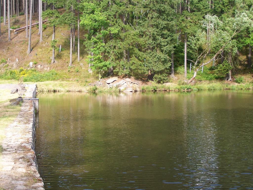 Penzion Mansky Dvur Dolni Zandov Bagian luar foto